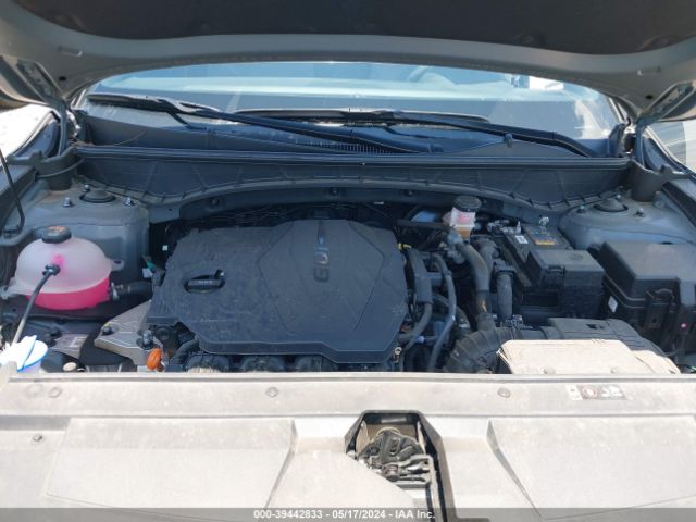 5NTJBDAEXPH052198 Hyundai Santa Cruz Sel