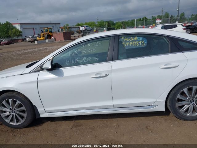5NPE34AFXGH322858 Hyundai Sonata Sport