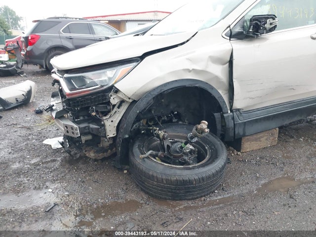 Honda CR-V EX 2019 2HKRW2H52KH617729 Image 13