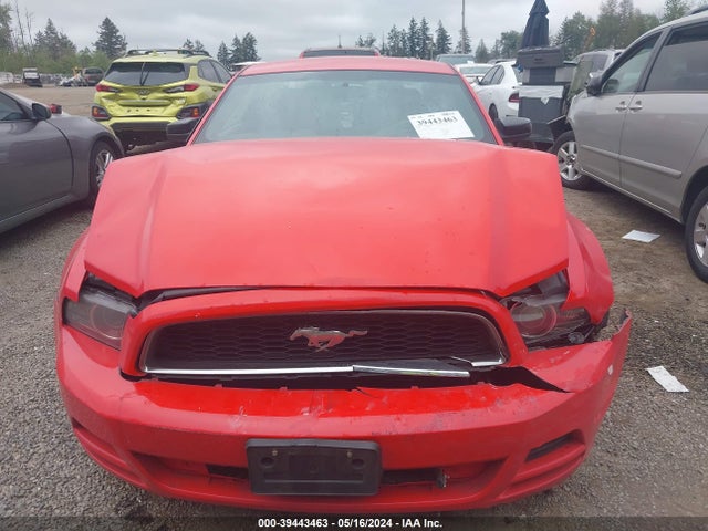 Ford Mustang V6 2014 1ZVBP8AM7E5235328 Image 12