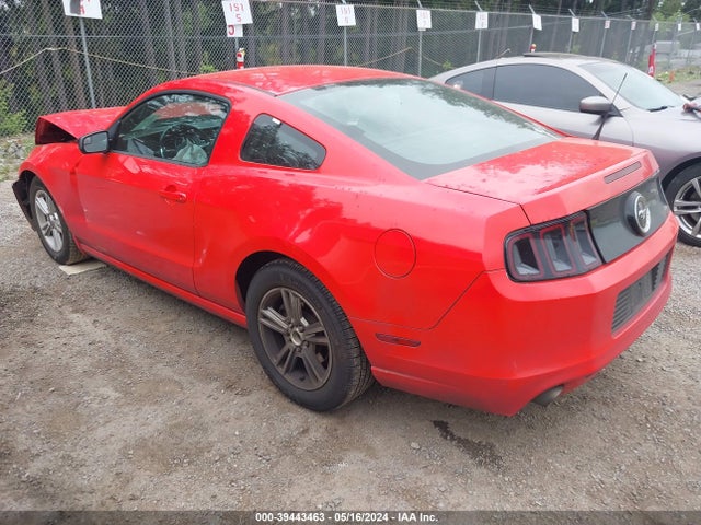 Ford Mustang V6 2014 1ZVBP8AM7E5235328 Image 3