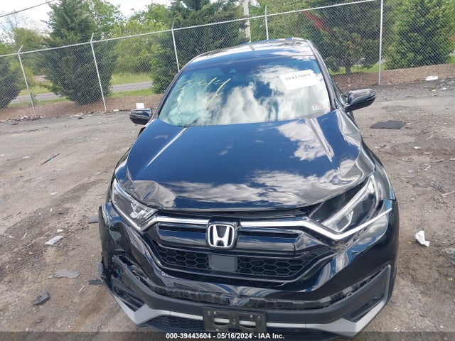 Honda Cr-v Awd Ex-l 2022 5J6RW2H88NA008922 Image 12