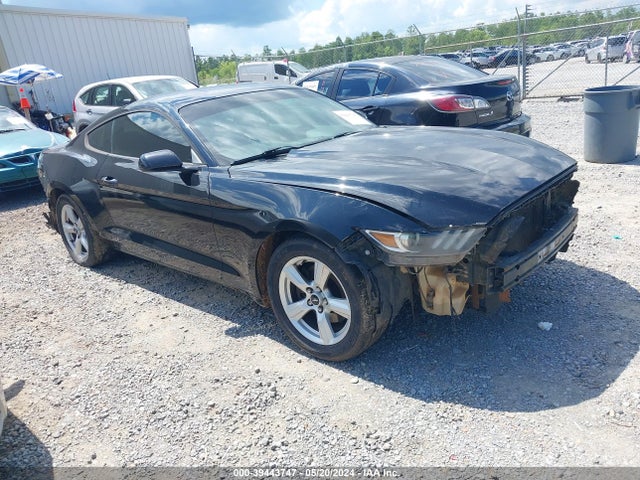 2015 1FA6P8AM0F5402530 main image