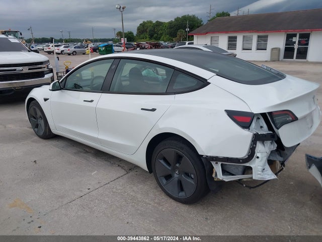 Tesla Model 3 Rear-wheel Drive 2023 5YJ3E1EA5PF586812 Image 3