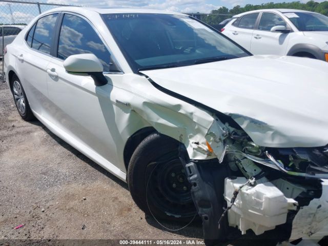 4T1B31HK1KU004870 Toyota Camry Hybrid Le