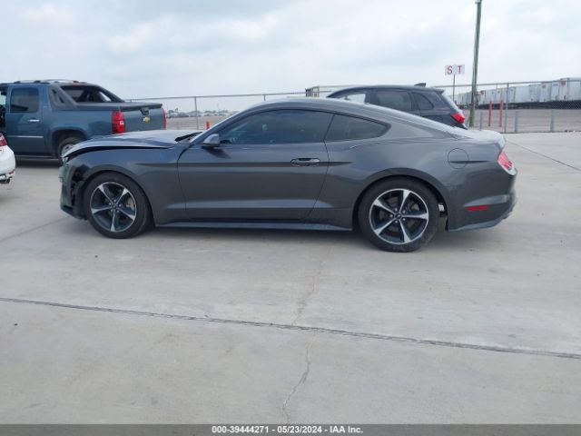 1FA6P8TH4K5157709 Ford Mustang Ecoboost