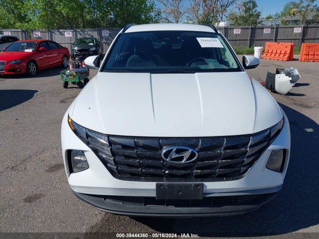 Hyundai TUCSON SEL 2024 5NMJBCDE1RH295922 Image 13