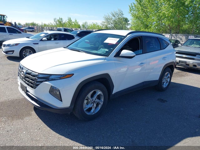 Hyundai TUCSON SEL 2024 5NMJBCDE1RH295922 Image 2