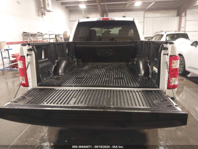 1FTEX1EP5PKD72364 Ford F-150 Xl