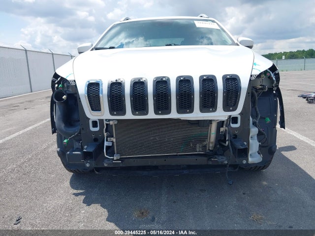 Jeep Cherokee Limited 4x4 2017 1C4PJMDS9HD214150 Image 6