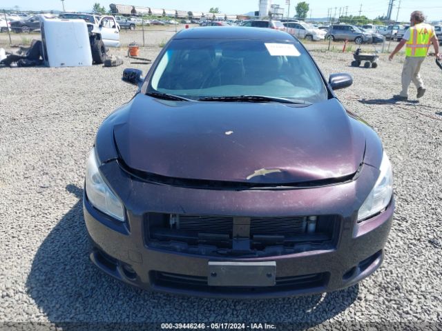 1N4AA5AP8EC491004 Nissan Maxima 3.5 S/3.5 Sv