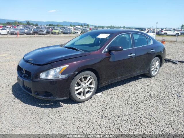 1N4AA5AP8EC491004 Nissan Maxima 3.5 S/3.5 Sv