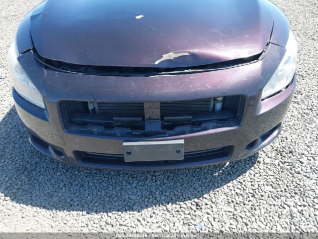 1N4AA5AP8EC491004 Nissan Maxima 3.5 S/3.5 Sv
