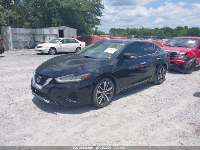 1N4AA6AV1KC381413 Nissan Maxima 3.5 Sl