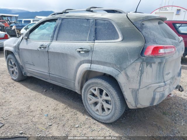 1C4PJMBSXGW172058 Jeep Cherokee Trailhawk