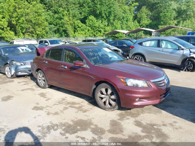 Auction sale of the 2012 Honda Accord 3.5 Ex-l, vin: 1HGCP3F83CA041875, lot number: 39448437