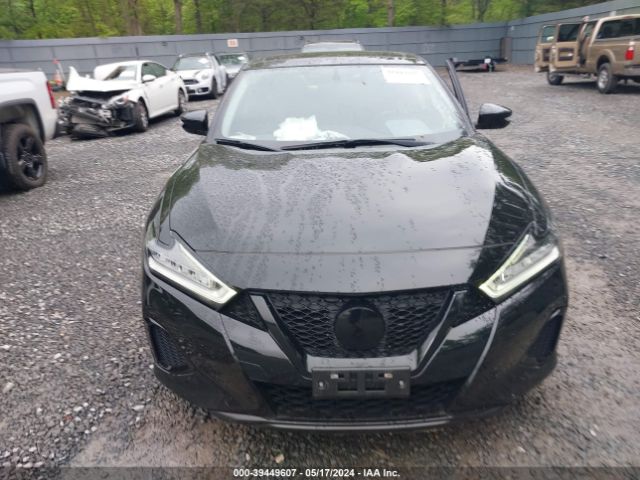 1N4AA6AV9KC383491 Nissan Maxima 3.5 Sl