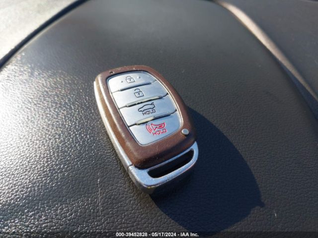 5NPD84LF4HH184066 Hyundai Elantra Limited