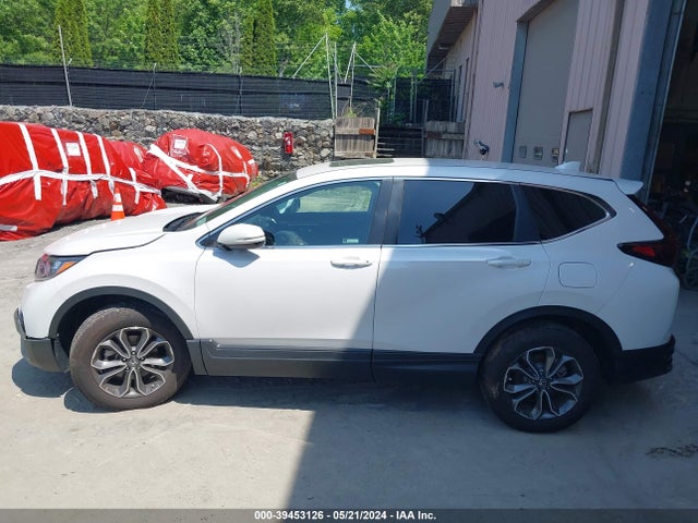 Honda Cr-v Awd Ex 2022 5J6RW2H57NL003270 Image 14