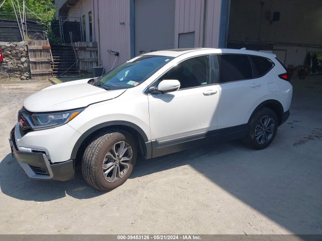 Honda Cr-v Awd Ex 2022 5J6RW2H57NL003270 Image 2