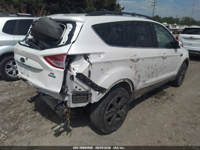 Ford ESCAPE SE 2014 1FMCU9GX4EUE02477 Image 4