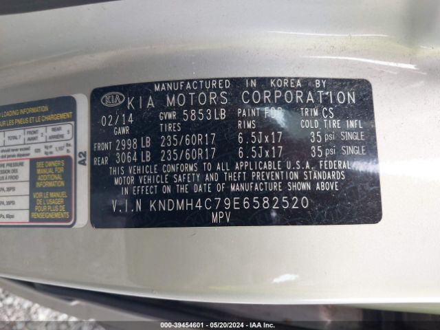 KNDMH4C79E6582520 KIA SEDONA EX
