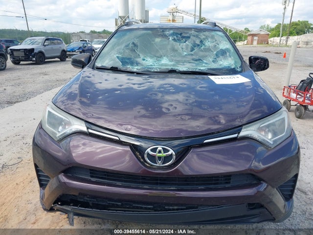 Toyota RAV4 LE 2016 2T3BFREV9GW530781 Image 6