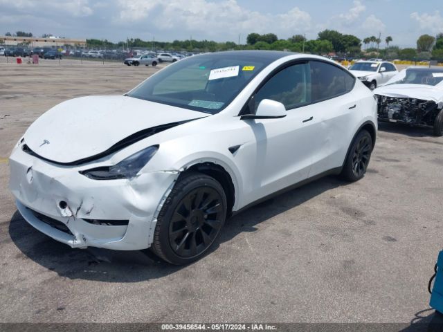 7SAYGDED1RF047637 Tesla Model Y Rwd