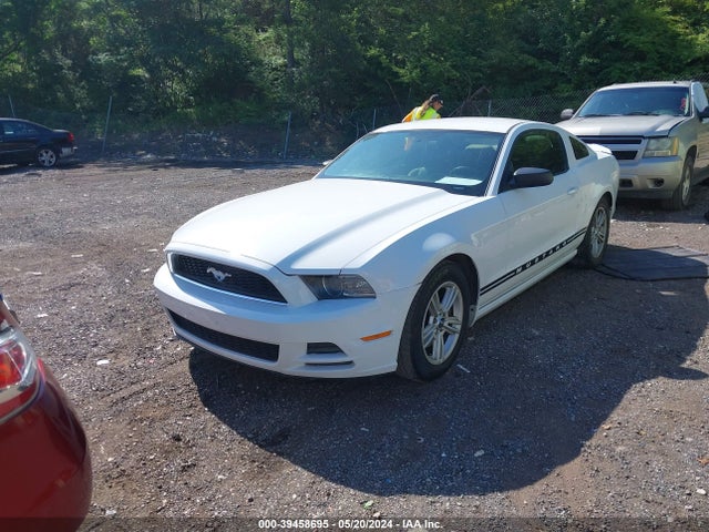 Ford Mustang V6 2014 1ZVBP8AM5E5212422 Image 2