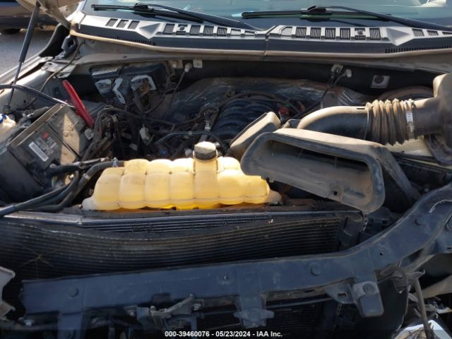 1FTEX1C50KKD70483 Ford F-150 Xl