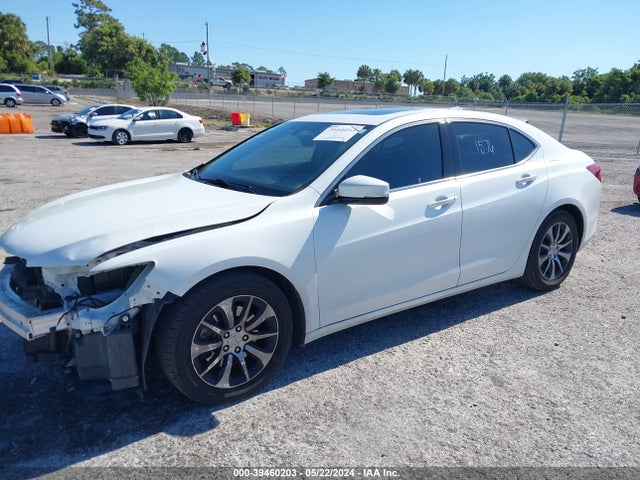 19UUB1F38FA019144 Acura TLX