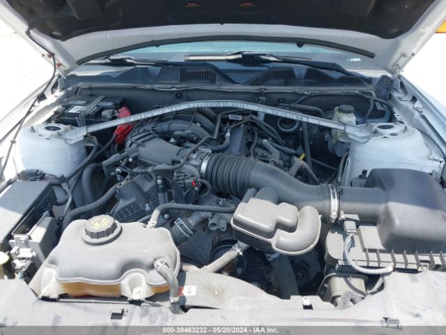 1ZVBP8EM0E5311658 Ford Mustang V6