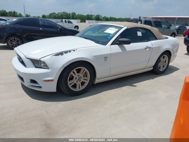 1ZVBP8EM0E5311658 Ford Mustang V6