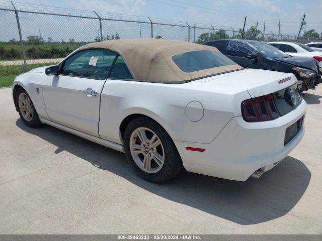1ZVBP8EM0E5311658 Ford Mustang V6