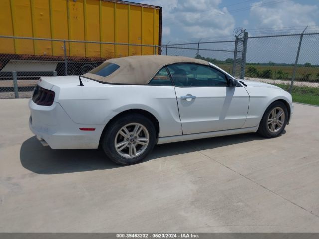 1ZVBP8EM0E5311658 Ford Mustang V6