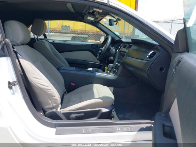 1ZVBP8EM0E5311658 Ford Mustang V6