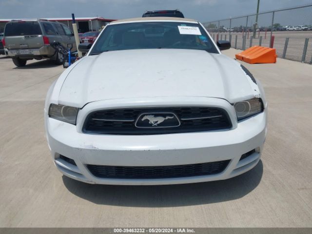 1ZVBP8EM0E5311658 Ford Mustang V6