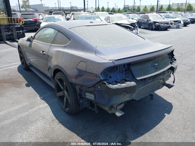 Ford Mustang Ecoboost 2019 1FA6P8TH0K5134993 Image 3