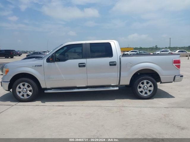 1FTFW1CTXEKF36969 Ford F-150 Xlt