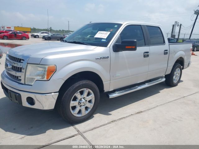 1FTFW1CTXEKF36969 Ford F-150 Xlt