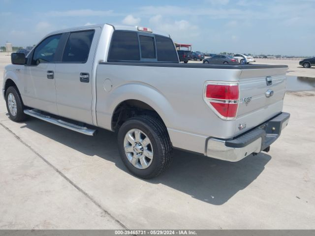 1FTFW1CTXEKF36969 Ford F-150 Xlt
