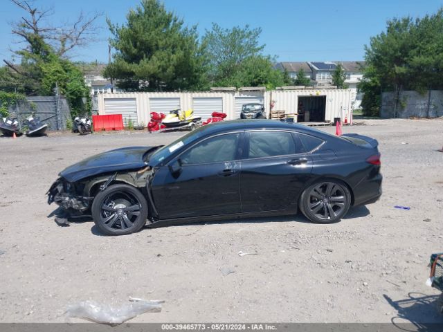 19UUB5F58MA010403 Acura Tlx A-spec Package