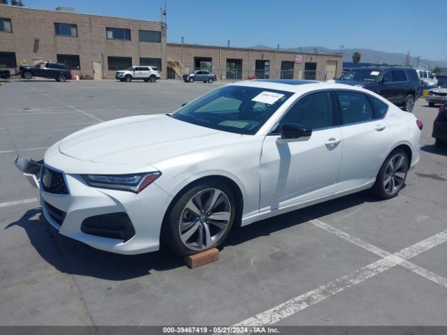 19UUB5F64MA008320 Acura Tlx Advance Package