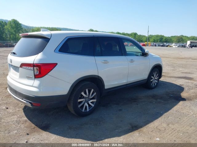 5FNYF6H59KB022135 Honda Pilot Ex-l