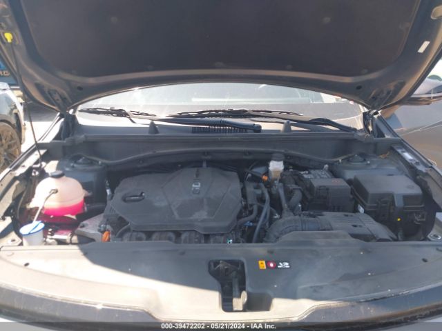 5XYK7CAF0PG056517 KIA Sportage X-pro Prestige