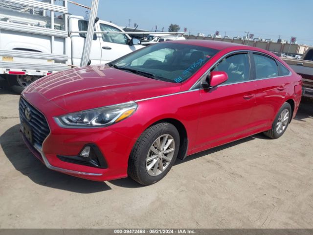 5NPE24AF8KH729122 Hyundai SONATA SE