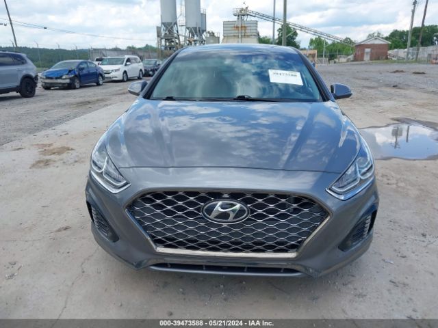 5NPE34AF0KH786072 Hyundai SONATA SEL