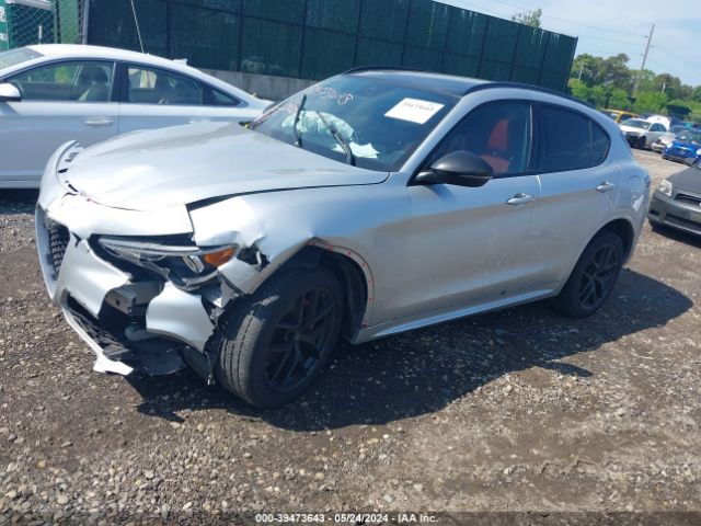 2021 ALFA ROMEO STELVIO ZASPAKBN5M7D14859 Photo 1