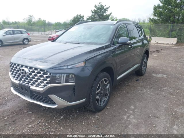 5NMS4DAL6MH344161 Hyundai Santa Fe Limited