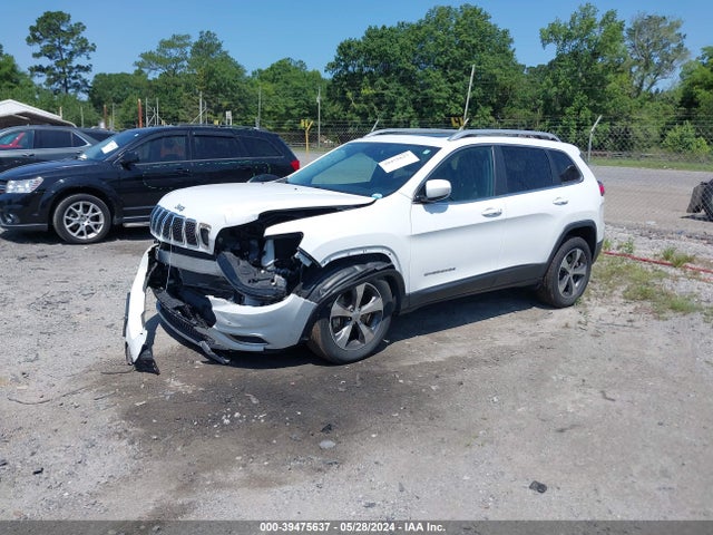 Jeep Cherokee Limited 4x4 2019 1C4PJMDX8KD417310 Image 2